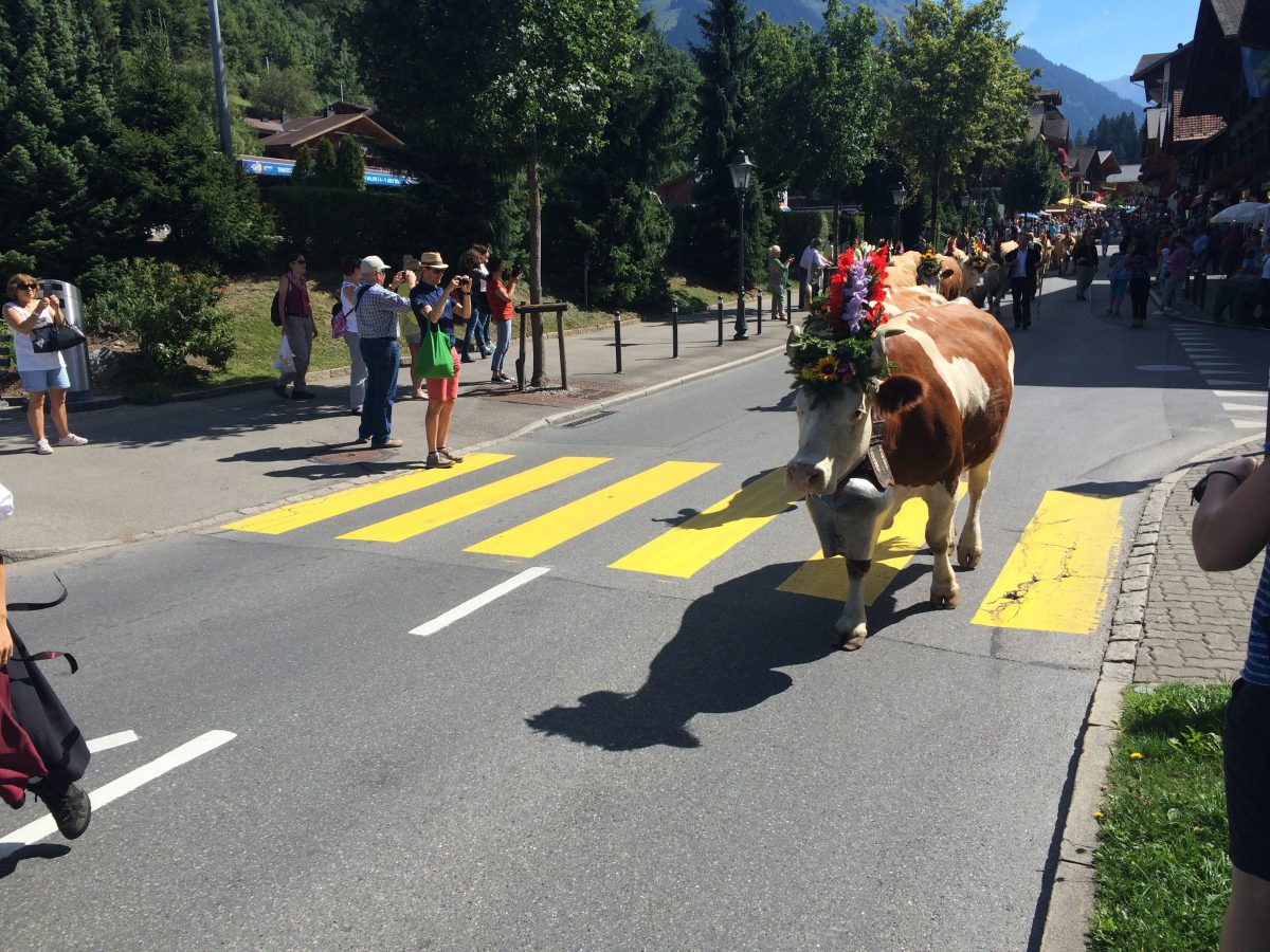 Désalpe Gstaad